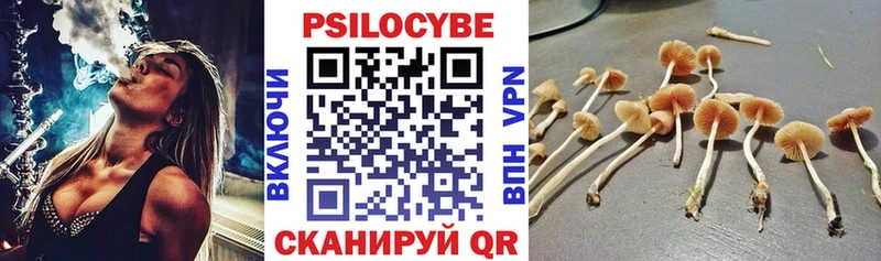 где купить наркотик  Мамоново  Галлюциногенные грибы мухоморы 